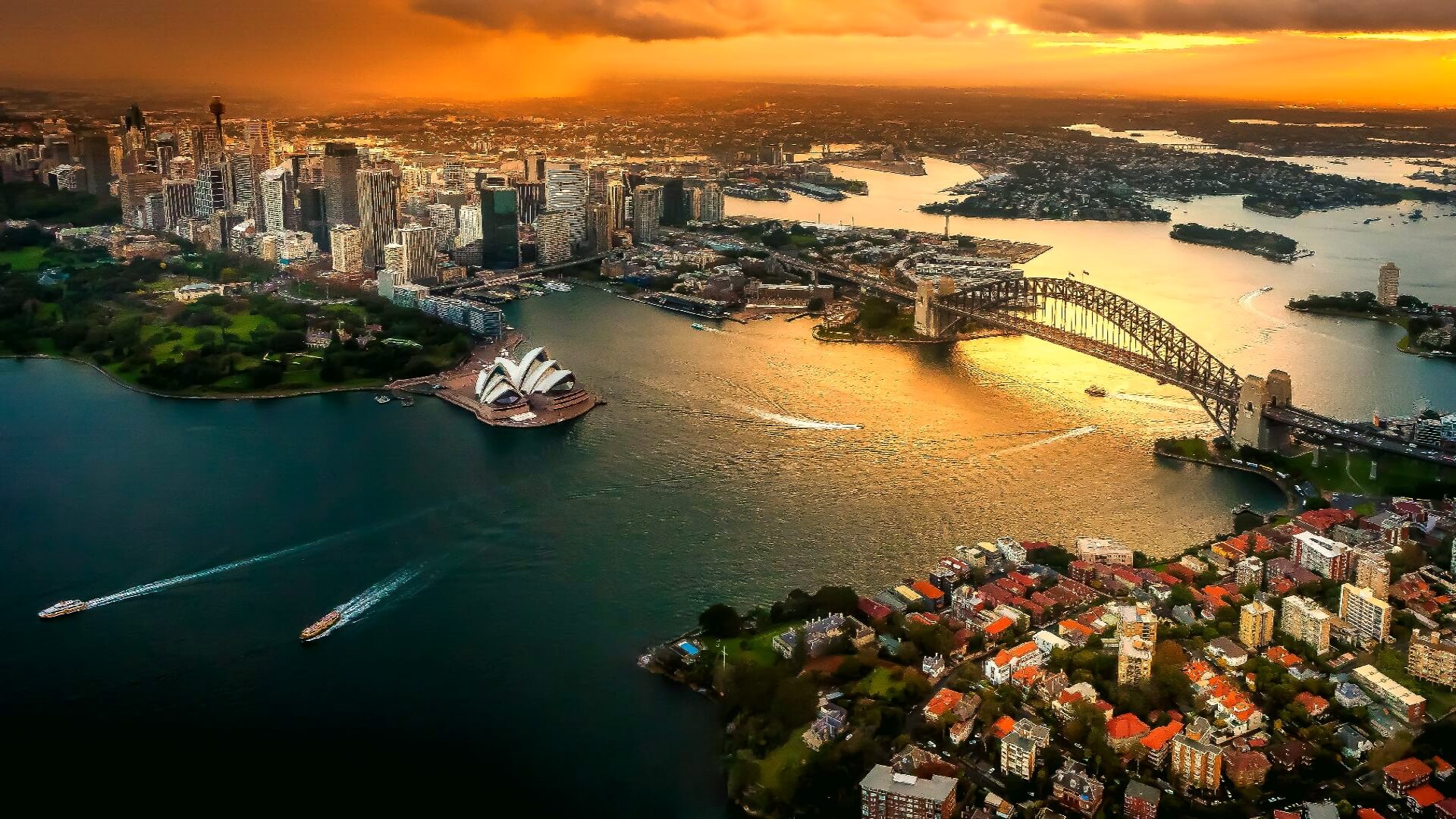 Australian Wine TriangleImage